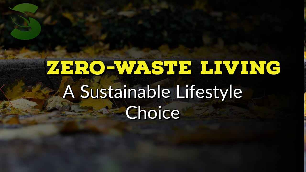 Zero-Waste Living A Sustainable Lifestyle