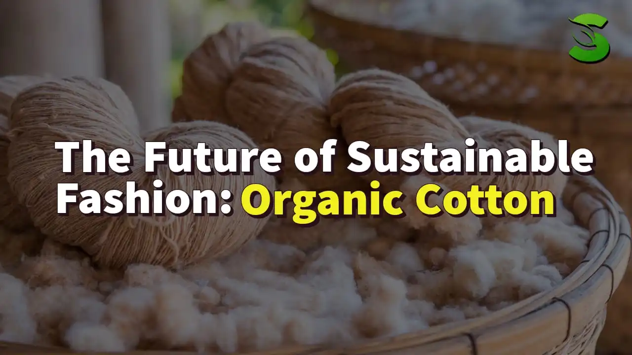 The Future of Sustainable Fashion Organic Cotton