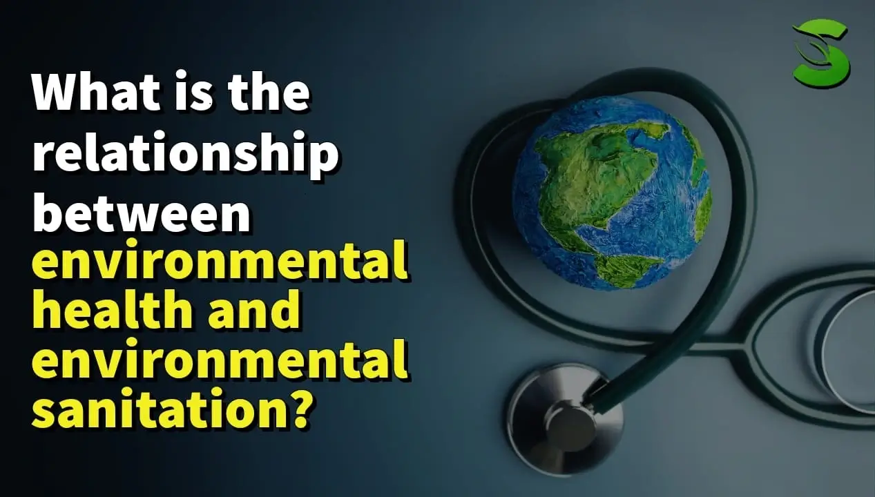 What is the relationship between environmental health and environmental sanitation (1)