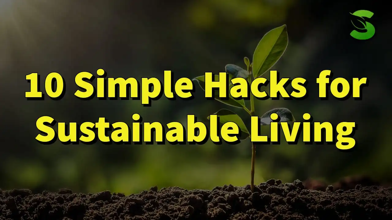 10 Simple Hacks for Sustainable Living