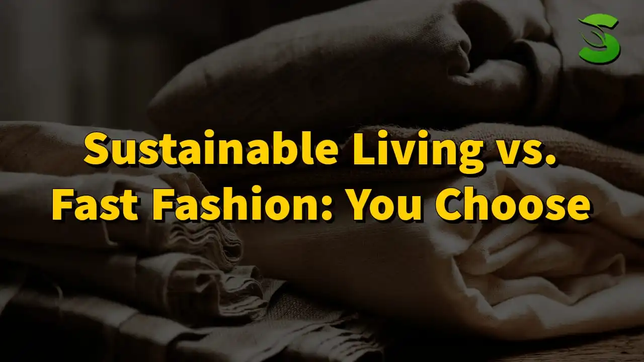 Sustainable Living vs. Fast Fashion You Choose