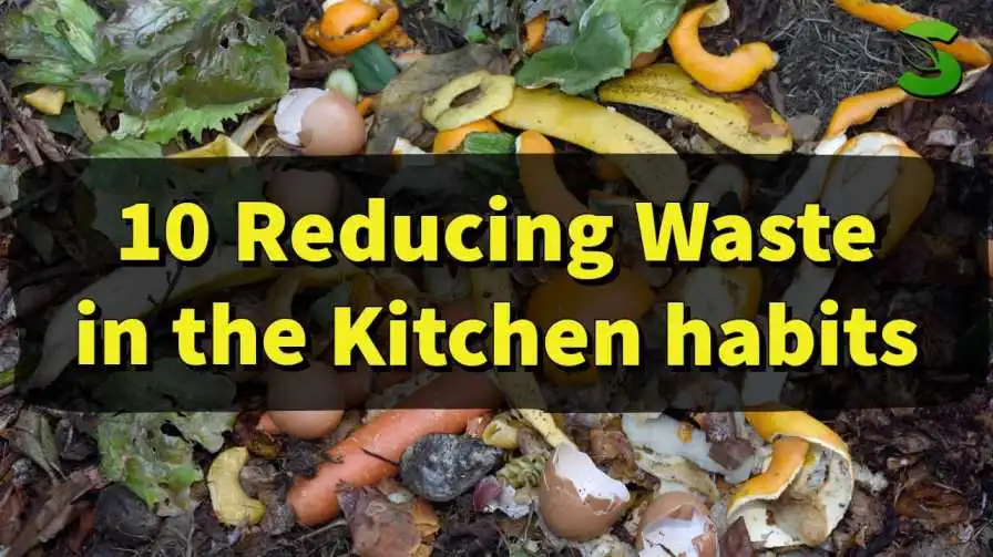 10 Reducing Waste in the Kitchen habits