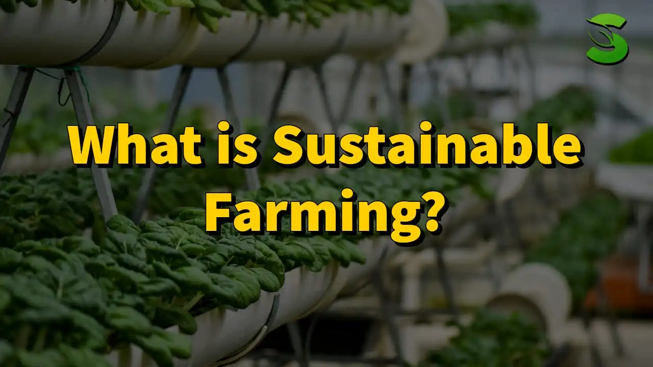 What is Sustainable Farming?