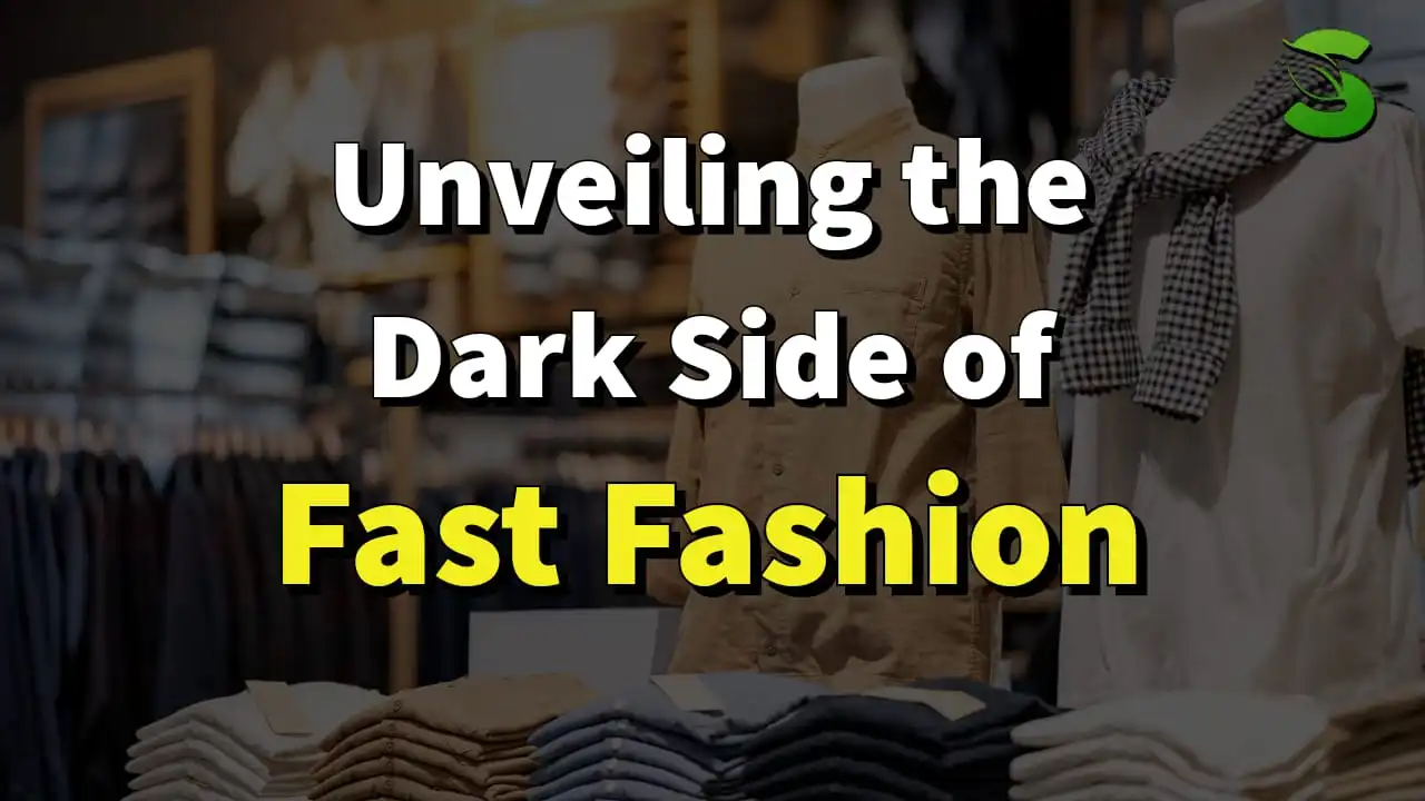 Unveiling the Dark Side of Fast Fashion