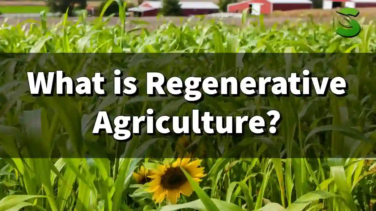 What is Regenerative Agriculture
