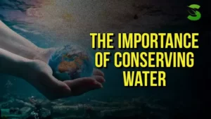 The Importance of Conserving Water